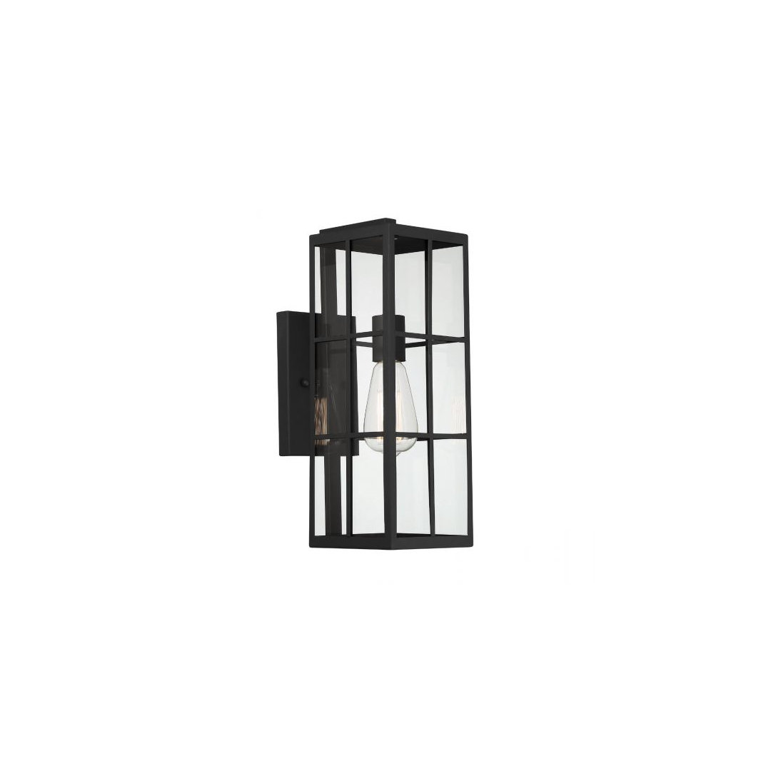 Sianna Black 1 - Bulb Outdoor Wall Lantern